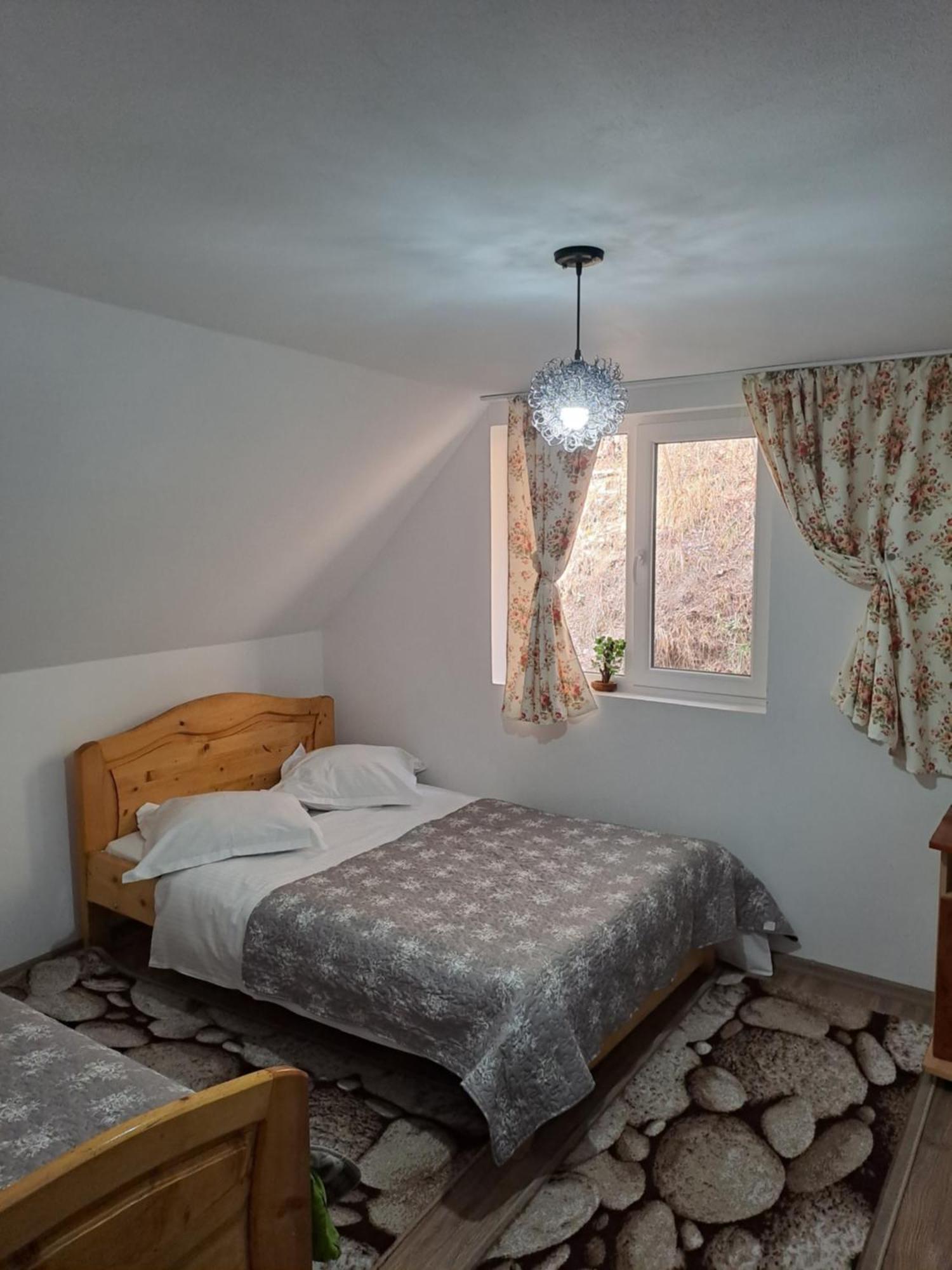 Rucăr Casa Raul 빌라 외부 사진